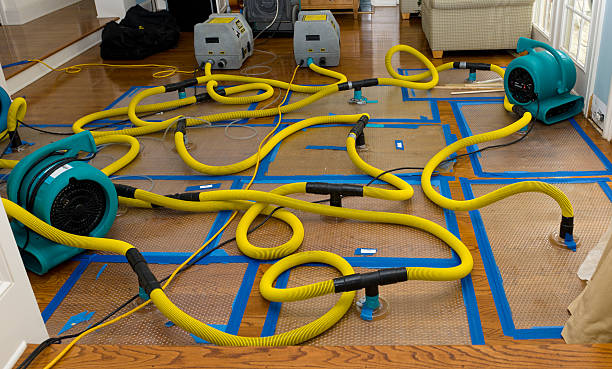 Professional Structural Drying And Dehumidification technician working in Claremont, CA